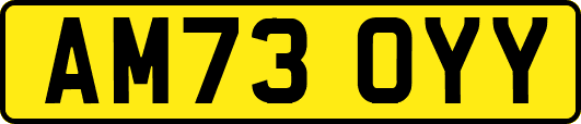 AM73OYY