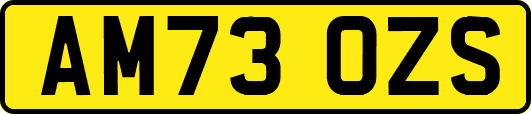 AM73OZS