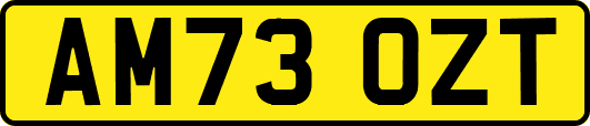 AM73OZT