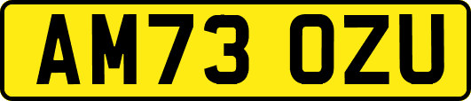 AM73OZU