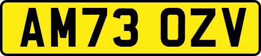 AM73OZV