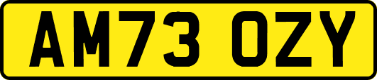 AM73OZY
