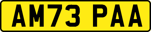 AM73PAA