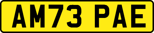 AM73PAE