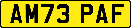 AM73PAF