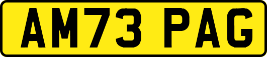 AM73PAG
