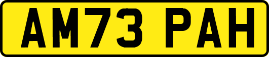AM73PAH