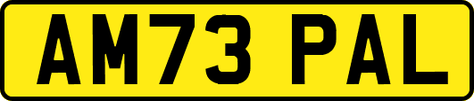 AM73PAL