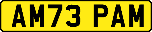 AM73PAM