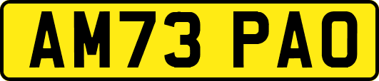 AM73PAO