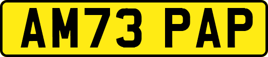 AM73PAP