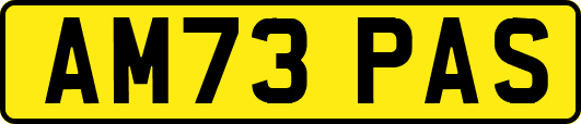 AM73PAS