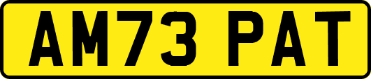 AM73PAT