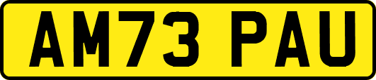 AM73PAU