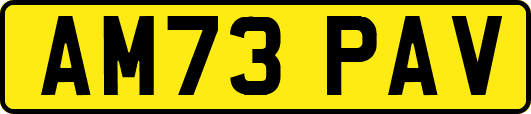 AM73PAV