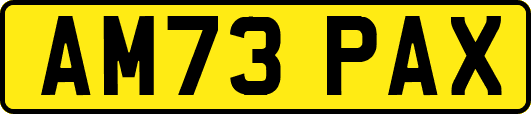 AM73PAX