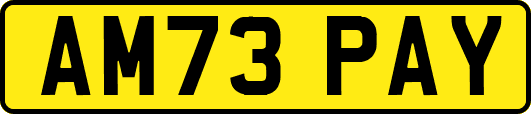 AM73PAY