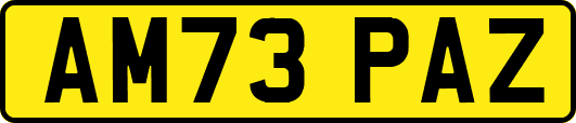AM73PAZ