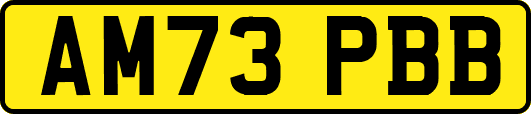 AM73PBB