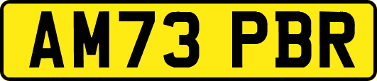 AM73PBR
