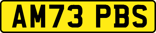 AM73PBS