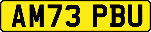 AM73PBU