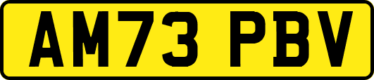 AM73PBV