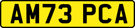 AM73PCA