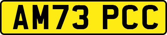 AM73PCC