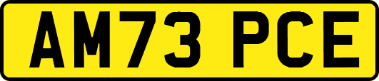 AM73PCE