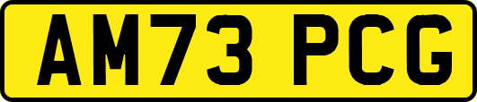 AM73PCG