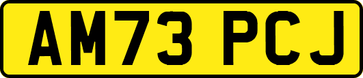 AM73PCJ