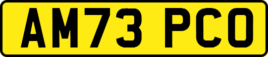 AM73PCO