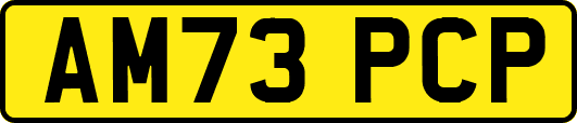 AM73PCP