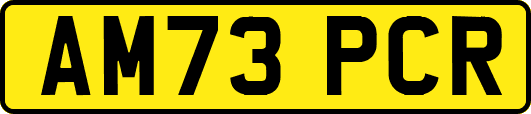 AM73PCR