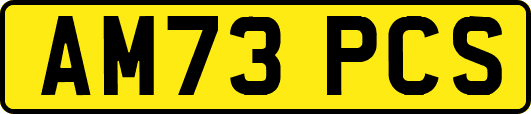 AM73PCS