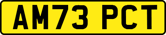AM73PCT