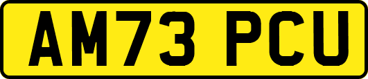 AM73PCU