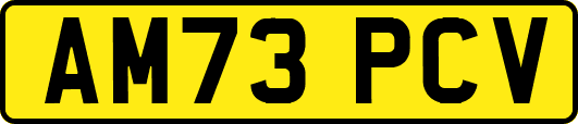 AM73PCV
