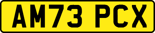 AM73PCX