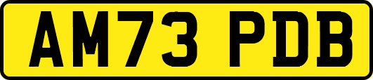 AM73PDB