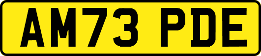 AM73PDE
