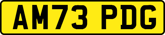 AM73PDG