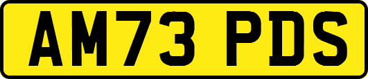AM73PDS