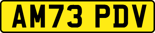 AM73PDV