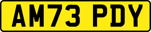 AM73PDY