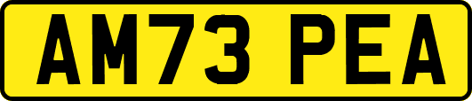 AM73PEA