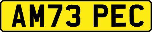 AM73PEC