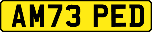 AM73PED
