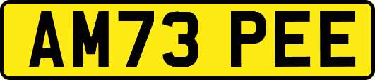 AM73PEE